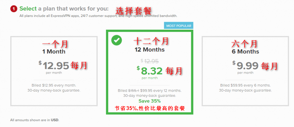 如何在国内购买使用ExpressVPN？